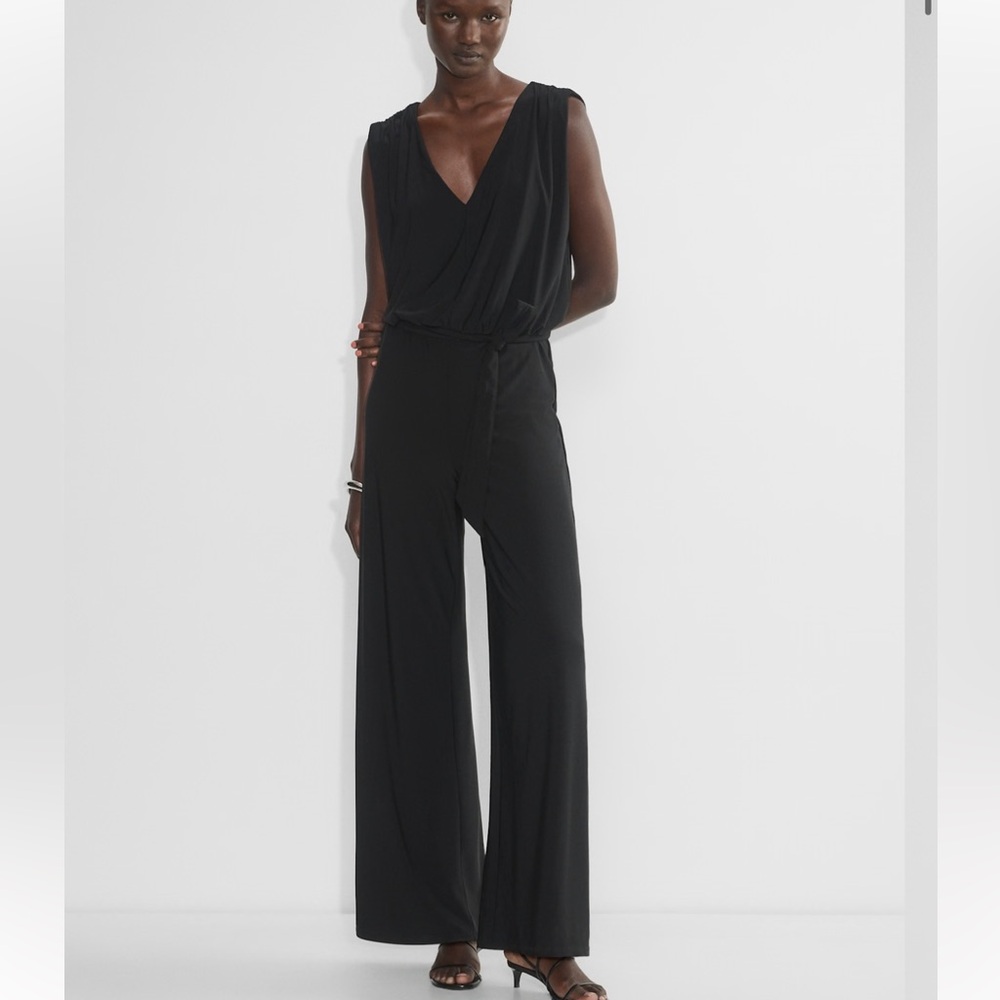 Aritzia Babaton Equate Jumpsuit Black size Small $118